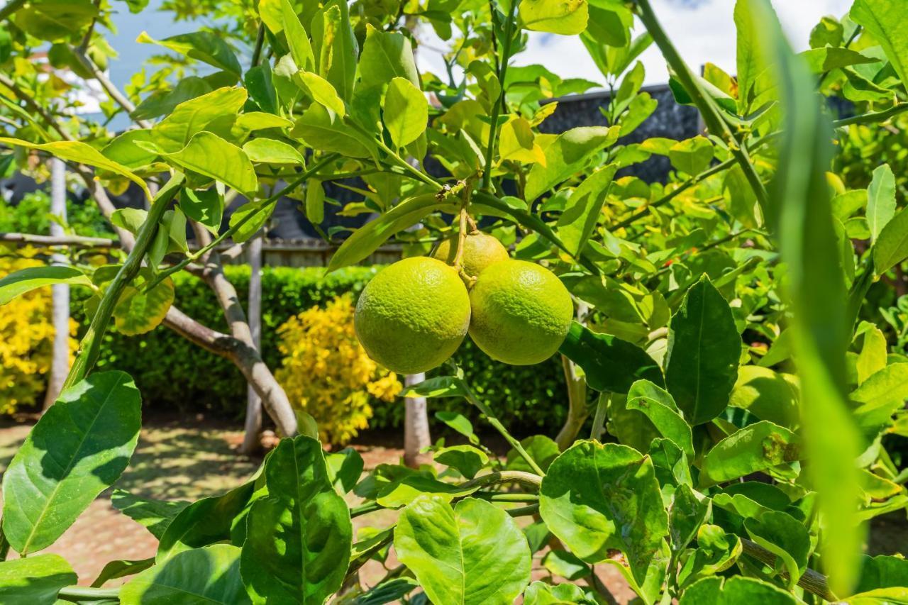 1730 Kaleka 4 Bed Poipu House, Guest House Walk To Beach Koloa Bagian luar foto